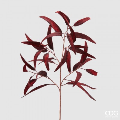 Fiori 90 Cm Bordo Okaliptüs
